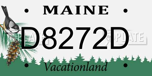 D8272D Maine License Plate