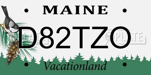 D82TZO Maine License Plate