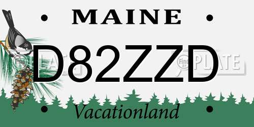 D82ZZD Maine License Plate