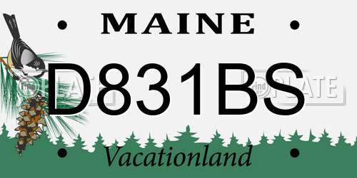 D831BS Maine License Plate