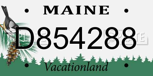D854288 Maine License Plate