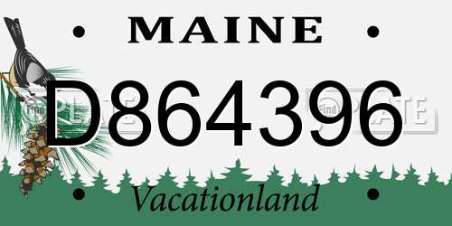 D864396 Maine License Plate