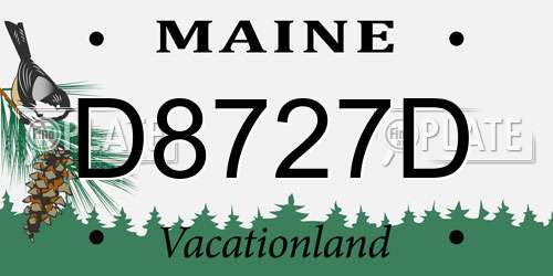 D8727D Maine License Plate