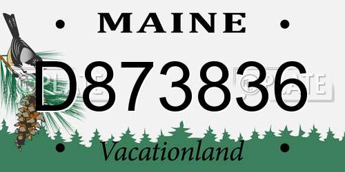 D873836 Maine License Plate