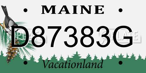 D87383G Maine License Plate