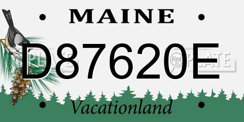 D87620E Maine License Plate