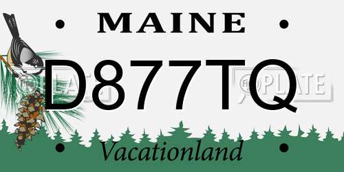 D877TQ Maine License Plate