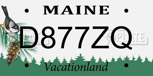 D877ZQ Maine License Plate