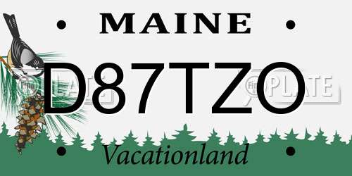 D87TZO Maine License Plate