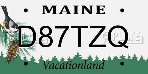 D87TZQ Maine License Plate