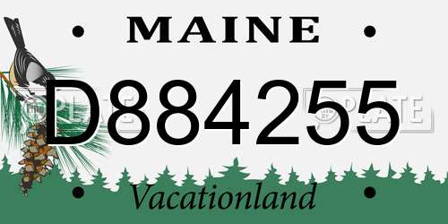 D884255 Maine License Plate