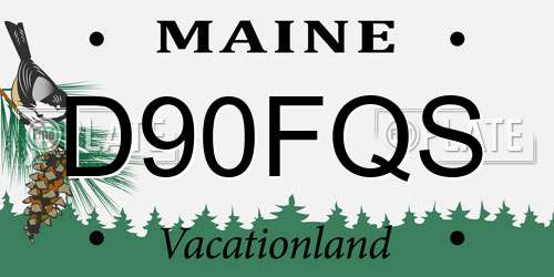 D90FQS Maine License Plate