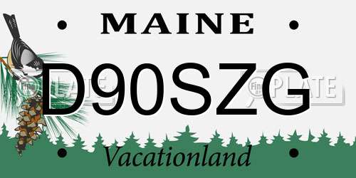D90SZG Maine License Plate
