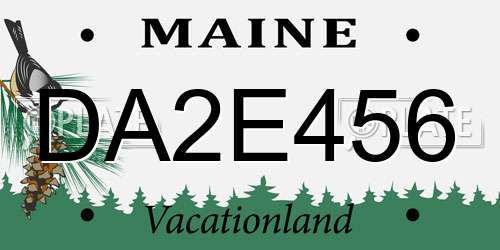 DA2E456 Maine License Plate
