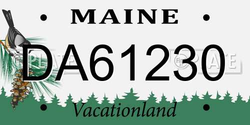 DA61230 Maine License Plate