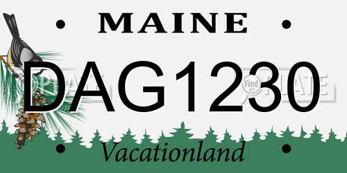 DAG1230 Maine License Plate