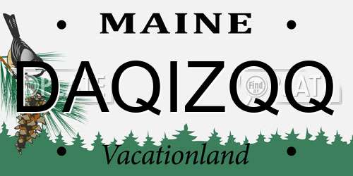 DAQIZQQ Maine License Plate