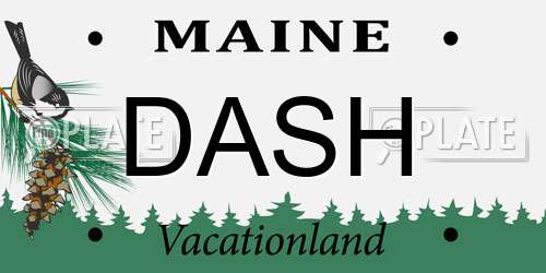 DASH Maine License Plate