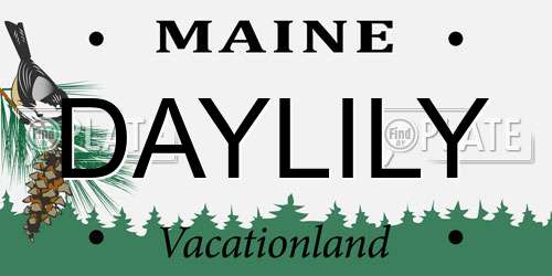 DAYLILY Maine License Plate