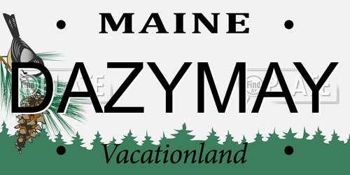 DAZYMAY Maine License Plate