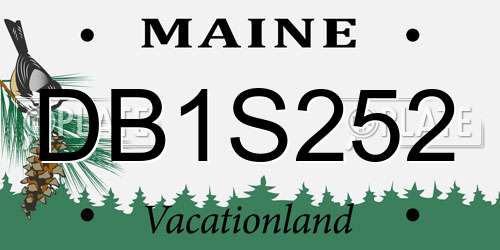 DB1S252 Maine License Plate