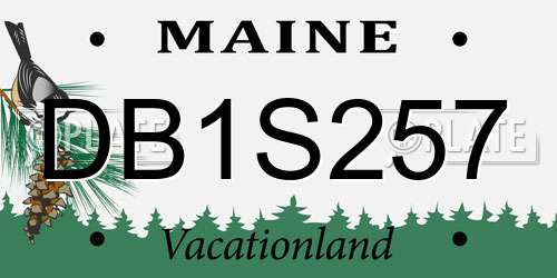 DB1S257 Maine License Plate