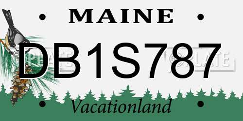 DB1S787 Maine License Plate