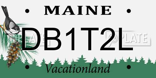 DB1T2L Maine License Plate
