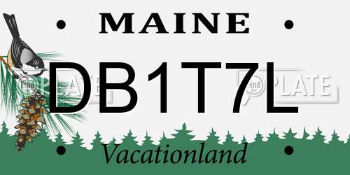 DB1T7L Maine License Plate