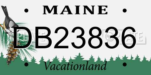 DB23836 Maine License Plate