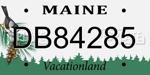 DB84285 Maine License Plate