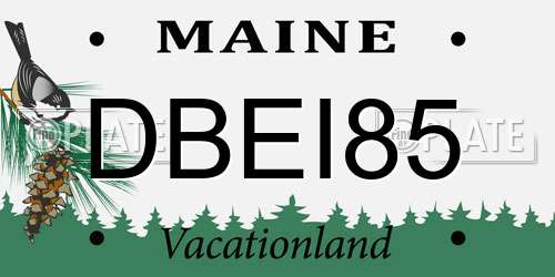 DBEI85 Maine License Plate
