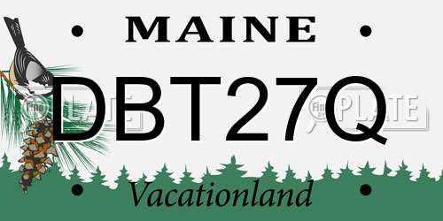 DBT27Q Maine License Plate