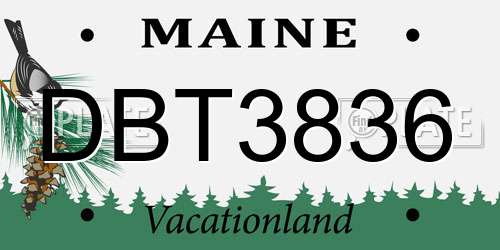DBT3836 Maine License Plate