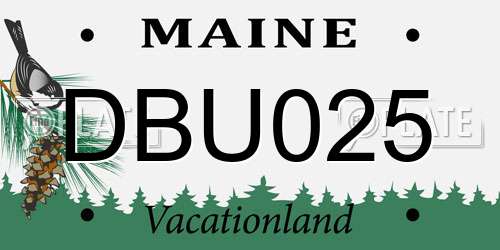 DBU025 Maine License Plate