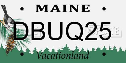 DBUQ25 Maine License Plate