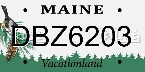 DBZ6203 Maine License Plate