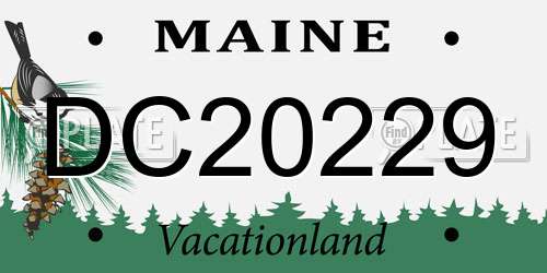 DC20229 Maine License Plate