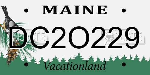 DC2O229 Maine License Plate