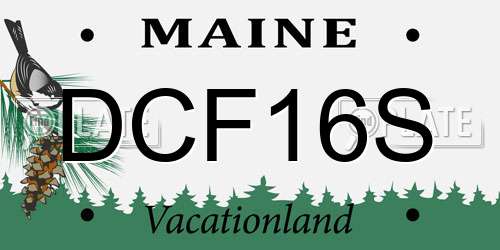 DCF16S Maine License Plate