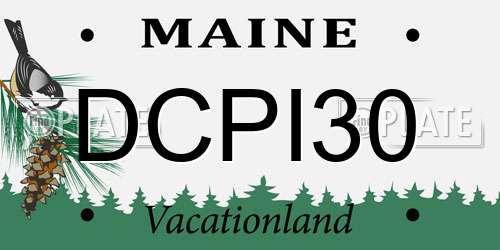 DCPI30 Maine License Plate