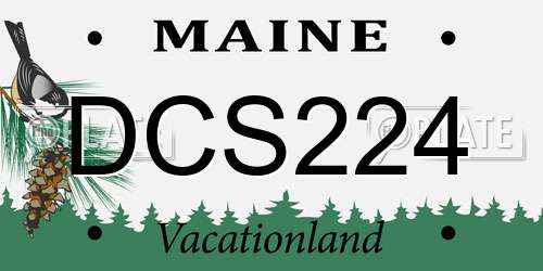 DCS224 Maine License Plate