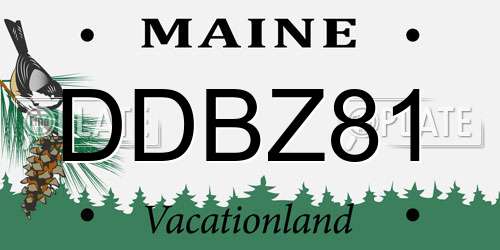 DDBZ81 Maine License Plate
