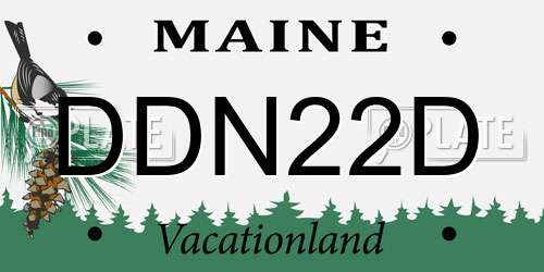 DDN22D Maine License Plate