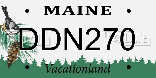 DDN270 Maine License Plate