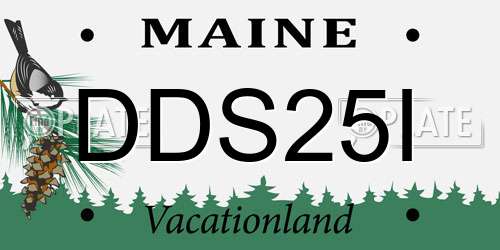DDS25I Maine License Plate
