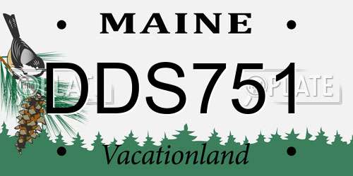 DDS751 Maine License Plate