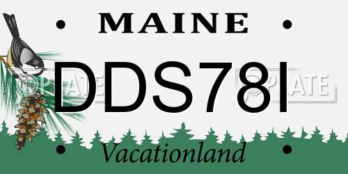 DDS78I Maine License Plate