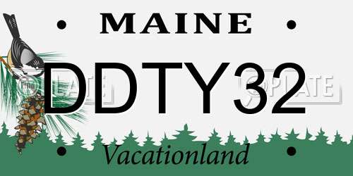 DDTY32 Maine License Plate