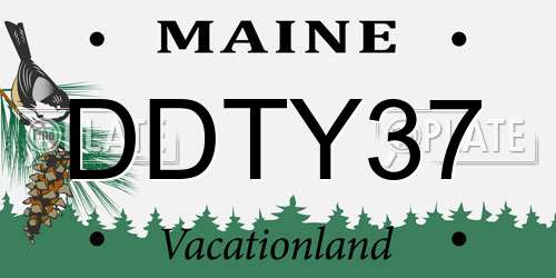DDTY37 Maine License Plate